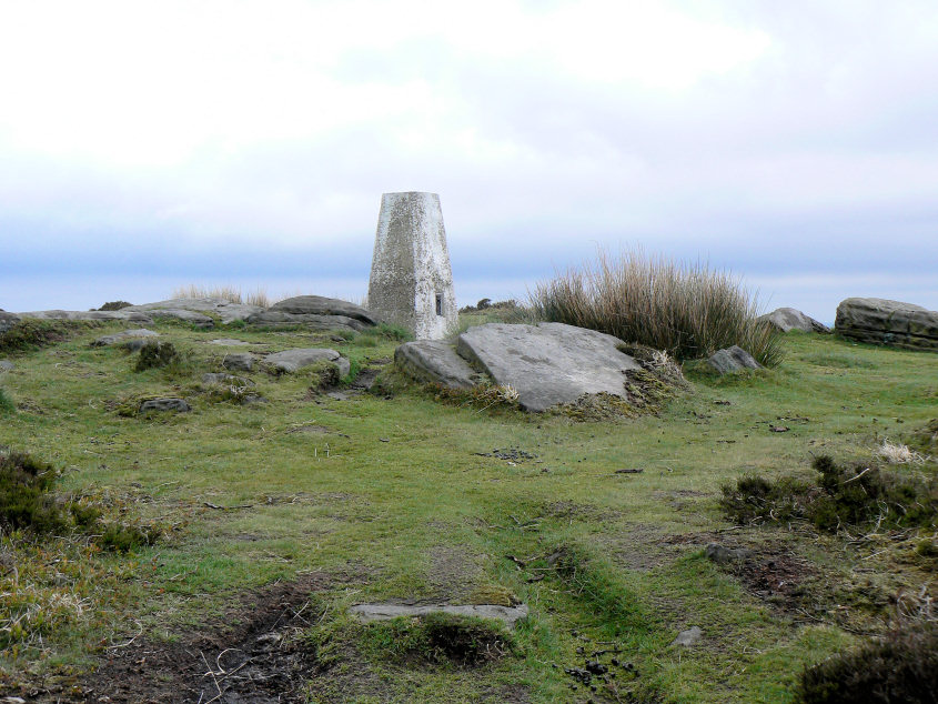White Edge trig White Edge trig